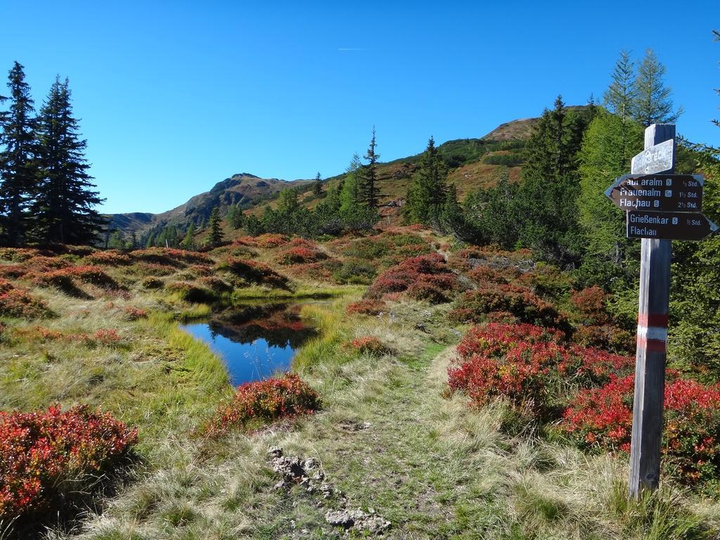 Ausserraingut Flachau Luaran gambar