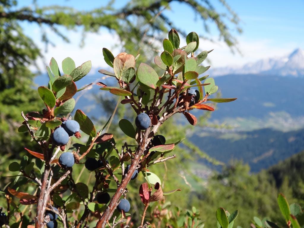 Ausserraingut Flachau Luaran gambar