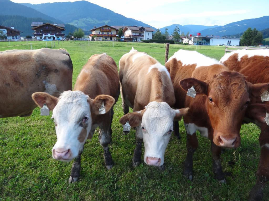 Ausserraingut Flachau Luaran gambar
